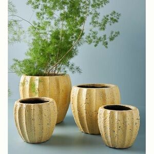 Anthropologie Sonny Pot